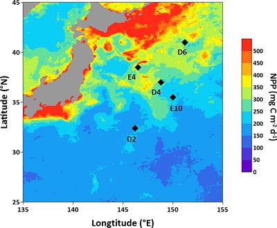 Benthic nitrogen cycling in the deep ocean of the Kuroshio Extension region